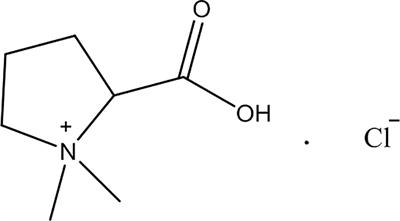 Protective Effect of Stachydrine Against Cerebral Ischemia-Reperfusion Injury by Reducing Inflammation and Apoptosis Through P65 and JAK2/STAT3 Signaling Pathway